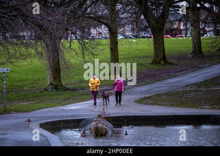 Northampton, Großbritannien. Wetter. 18th. Februar 2022. Starke Winde im Abington Park, bei denen die Menschen früh mit den Hunden unterwegs sind, bevor der Sturm Eunice später am Tag eintrifft. Kredit: Keith J Smith./Alamy Live Nachrichten. Stockfoto