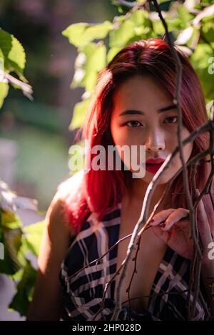 Junge ostasiatische Frau im strahlten Sonnenlicht, umgeben von grünen Baumzweigen Stockfoto