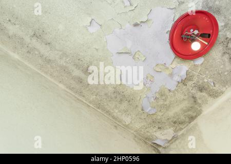 Verfallene gelbe Wand mit Schimmel und roter kaputter Lampe Stockfoto