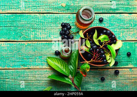 Trauben von frischer Apfelbeere. Kräutermedizin und Homöopathie Stockfoto