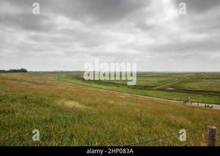 Grüne flache Salzwiesen in der Nähe der Nordsee Stockfoto