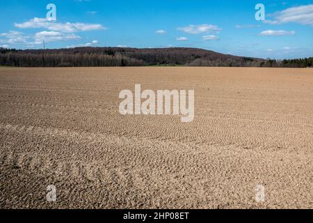 Große braune Felder von fruchtbarem Boden und grüne Wälder im Hintergrund Stockfoto
