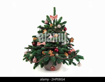 Schöner kleiner geschmückter Weihnachtsbaum auf einem weißen Holztisch. Gut gelaunt. Dänische Kiefer und Tanne, Nobilis Stockfoto