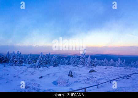 Sonnenuntergangspanorama in Waldlandschaft mit vereisten Tannen am Brocken im Harz Wernigerode Sachsen-Anhalt Deutschland Stockfoto