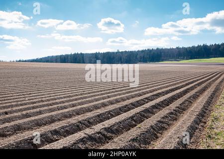 Große braune Felder von fruchtbarem Boden und grüne Wälder im Hintergrund Stockfoto