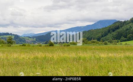 Idyllische Landschaft rund um Immenstadt, einer Stadt im Oberallgäu in Bayern, Deutschland Stockfoto