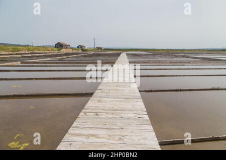 Traditionelles Salzgewinnungslager (Salinas) in Figueira da Foz, Portugal Stockfoto