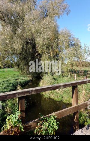 Fussgängerbrücke aus Holz über die Wipperau, Oetzen, Niedersachsen, Deutschland Stockfoto