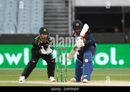 MELBOURNE, AUSTRALIEN - 18. FEBRUAR: Kusal Mendis aus Sri Lanka trifft den Ball im vierten Spiel der T20 International Series zwischen Australien und Sri Lanka am 18. Februar 2022 auf dem Melbourne Cricket Ground in Melbourne, Australien. Bild: brett keating/Alamy Live News Stockfoto