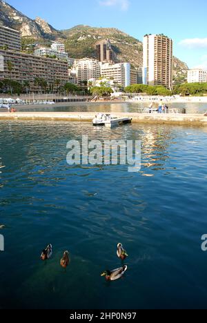 Monte Carlo, Monaco: Plage du Larvotto (Strand von Larvotto), Gebäude in der Ferne. Larvotto ist der östlichste Bezirk im Fürstentum Monaco Stockfoto