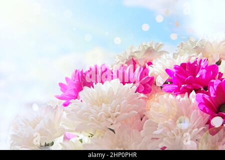 Wunderschön gestaltete Bouquet von weißen und roten Chrysanthemen auf einem hellen Hintergrund. Bund von Chrysanthemen Blumen. Chrysanthemen für Postkarte. Beau Stockfoto