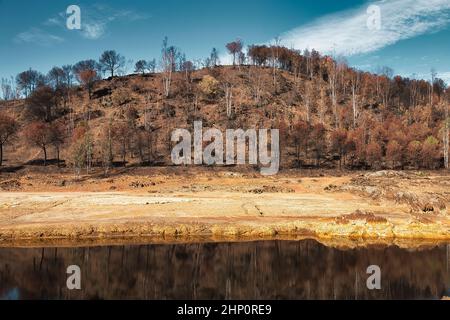 Atemberaubende Landschaft mit einem Hang voller Bäume, die von einem Waldbrand verbrannt wurden, neben dem Flussbett des Rio Tinto in der Provinz Huelva, Spanien Stockfoto