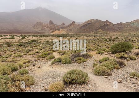 Die lavafelder von Las Canadas Caldera und den Vulkan Teide im Hintergrund. Teneriffa. Kanarischen Inseln. Spanien. Stockfoto