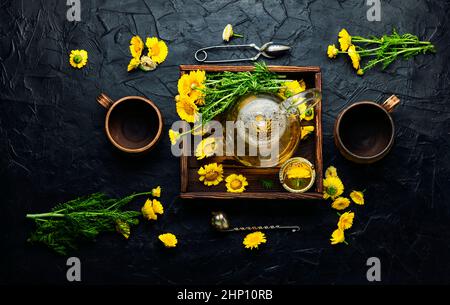 Heilender Blumentee. Teekannen mit Chrysantheme Blumen Tee. Kräutermedizin, Tee zubereiten Stockfoto