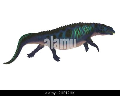 Placodus war ein marines fleischfressendes Reptil, das während der Trias in den Meeren Chinas und Europas lebte. Stockfoto