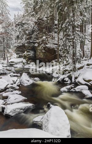 Divoka Orlice Fluss in Zemska brana, Orlicke Gebirge, Ostböhmen, Tschechische Republik Stockfoto