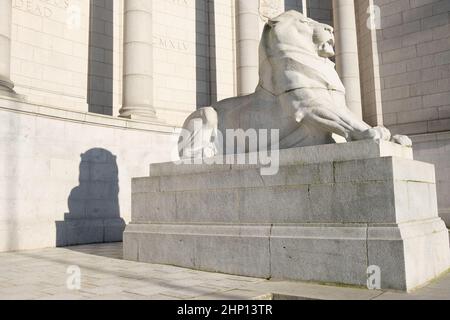 Ein Farbfoto der Löwenskulptur, die vor dem Kriegsdenkmal der Cowdray Hall, Aberdeen, Schottland, steht. Stockfoto