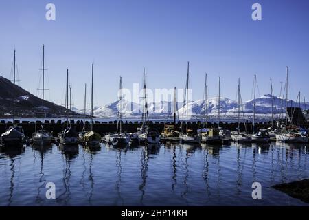 Segelboote in einem Tromso Dock in Norwegen Stockfoto