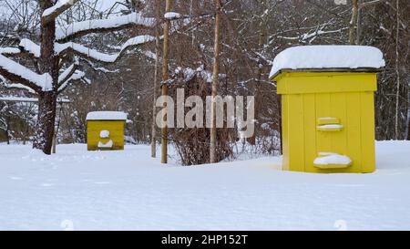 Bienenstöcke waren im kalten Winter mit Schnee bedeckt. Bienenstöcke im Apfelgarten im Winter. Imkerei. Stockfoto