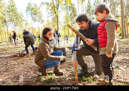 Familie pflanzt mit Freiwilligen im Wald einen Baum für nachhaltige Wiederaufforstung und Ökologie Stockfoto