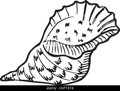 Seashell im handgezeichneten Stil. Marinesymbol. Meeresstrand Stock Vektor