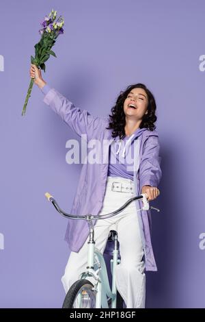 Glückliche junge Frau in Regenmantel Fahrrad fahren und hält eustoma Blumen auf lila Stockfoto