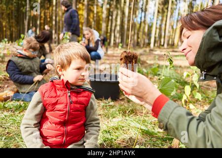 Kind und Lehrer mit Sämling, der Bäume als eine waldpädagogische Lektion im Wald identifiziert Stockfoto