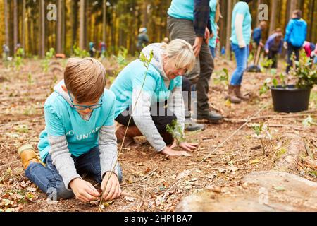 Familie hilft mit einer freiwilligen Aufforstungskampagne im Wald für Umweltschutz und Ökologie Stockfoto