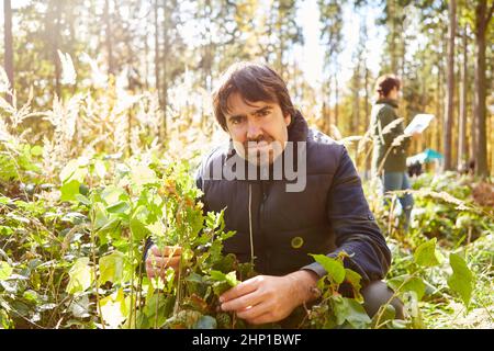 Förster oder Umweltschützer Pflanzen Baum in Wald für Ökologie und Umweltschutz Stockfoto