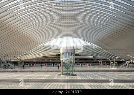 Lüttich, Bahnhof Liège-Guillemins, Entwurf 2009 Santiago Calatrava; Bahnhofshalle Stockfoto