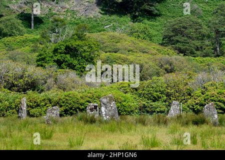 Lochbuie Standing Stones auf der Isle of Mull, Schottland Stockfoto