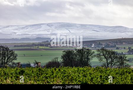 East Lothian, Schottland, Vereinigtes Königreich, 18th. Februar 2022. UK Wetter: Schnee auf Lammermuir Hills.der größte Teil von East Lothian hatte nur über Nacht Schnee, aber die Hügel an der Grenze zu den schottischen Grenzen hatten mehr Stockfoto