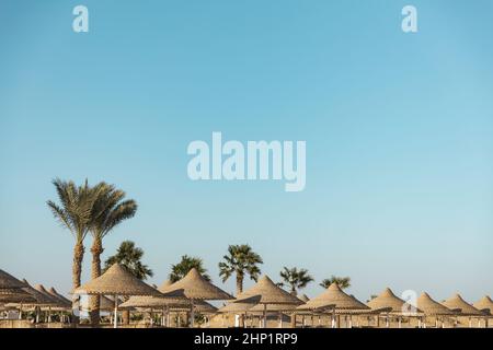 Blick auf hölzerne Strohschirme oder strohgedeckte Hütten und Palmen, wunderschöne Sicht auf den blauen Himmel am tropischen Ägyptischen Strand. Sommer- oder Winterurlaub c Stockfoto