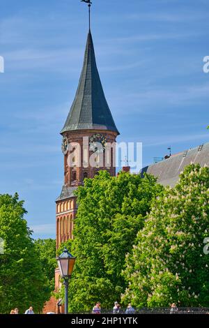 Kaliningrad, Russland - 31. Mai 2021: Kaliningrad-Kathedrale auf der Insel Kanta Stockfoto