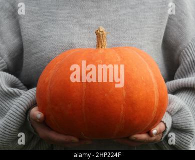 Frau hält großen Kürbis in den Händen, halloween-Thema, Herbst Ernte, Frauen Hände. Stockfoto