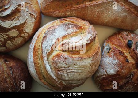 Vielfalt an Lafs frisch gebackenen handwerklich hergestellten Roggen-, Weiß- und Vollkornbrot auf dunklem Hintergrund. Draufsicht . Stockfoto