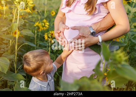 Kleiner Junge berührt den Bauch ihrer Schwangeren Mutter auf dem Hintergrund des Sonnenblumenfeldes. Paar erstellen Herzzeichen auf dem Bauch der Schwangeren. Sommer Stockfoto