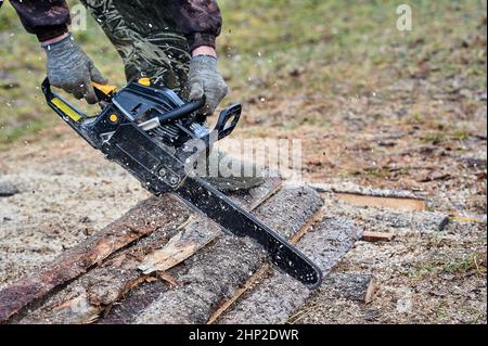 Zum Schneiden von Holz im Freien wird eine Kettensäge verwendet. Hochwertige Fotos Stockfoto