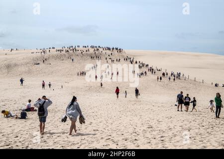 Touristenverkehr im Slowinski Nationalpark in Polen, sich bewegende Dünen Stockfoto