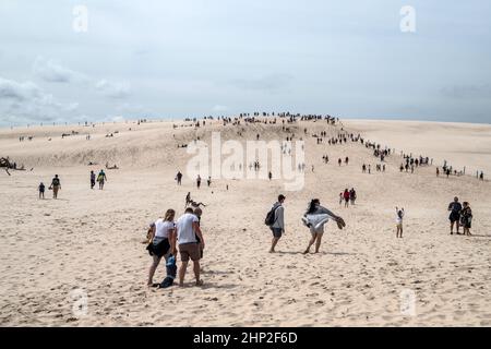 Touristenverkehr im Slowinski Nationalpark in Polen, sich bewegende Dünen Stockfoto