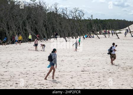 Touristenverkehr im Slowinski Nationalpark in Polen, sich bewegende Dünen Stockfoto