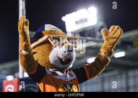 Warrington, England - 17. Februar 2022 - Maskottchen von Castleford Tigers während der Rugby League Betfred Super League Runde 2 Warrington Wolves vs Castleford Tigers im Halliwell Jones Stadium, Warrington, Großbritannien Dean Williams Stockfoto