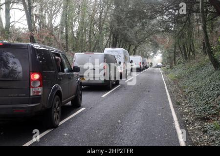 Chichester, West Sussex, Großbritannien. Baum unten auf Kennel Hill, Goodwood wegen Sturm Eunice. Mitglieder der Öffentlichkeit in der Schlange abgebildeten Verkehr Maßnahmen zu ergreifen und zu entfernen, um die Straße zu öffnen dank Steve Christopher von NSF Solutions Ltd. Quelle: Sam Stephenson/Alamy Live News Stockfoto