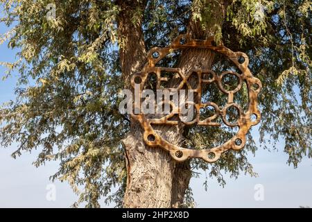 Dubai, VAE, 15.12.2021. Expo 2020 Dubai Holzlogo-Schild zwischen den Blättern auf einem Baum am Expo Lake in Dubai, blauer Himmel im Hintergrund. Stockfoto