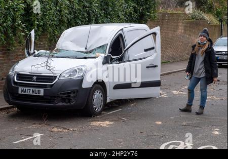 18.02.2021. Bild von Tim Clarke Maria bewässert einen professionellen Hundespaziergang auf Hampstead Heath mit ihrem zerkleinerten Fahrzeug, das fünf Minuten vor ihrer Rückkehr nach ihrem täglichen Spaziergang von einem Baum getroffen wurde. Mariens Nein 07932598573 Stockfoto