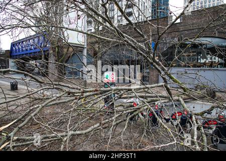 London, Großbritannien. 18th. Februar 2022. 18th. Februar 2022. London, Großbritannien. Gesamtansicht eines Baumes, der in der Nähe der Waterloo Station, London, aufgrund der starken Winde, die durch den Sturm Eunice verursacht wurden, einstürzte. Eine seltene rote Wetterwarnung - die höchste Warnung, was bedeutet, dass ein hoher Aufprall sehr wahrscheinlich ist - wurde vom Met Office aufgrund der Kombination aus hohen Gezeiten, starken Winden und Sturmfluten ausgegeben. Kredit Kieran Cleeves/Alamy Live Nachrichten Kredit: Kieran Cleeves/Alamy Live Nachrichten Stockfoto