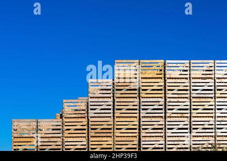 Stapel leerer Paletten vor blauem Himmel Stockfoto