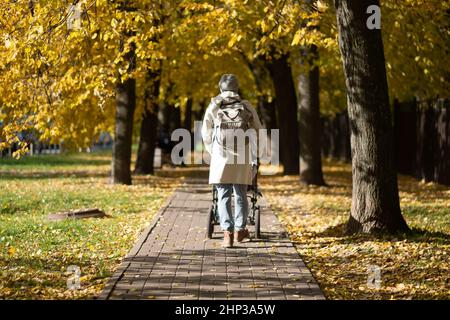 Mutter, die mit einem Kinderwagen im Park läuft. Stockfoto
