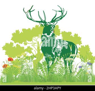 Hirsch in der Wiese Illustration Stock Vektor