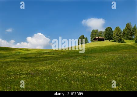 Eine kleine Almhütte auf einer sanft abfallenden grünen Wiese mit einem strahlend blauen Himmel und ein paar flauschigen Wolken. Stockfoto